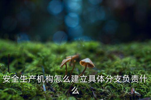 什么是三級分支機構(gòu)，英語三級發(fā)證機構(gòu)是什么