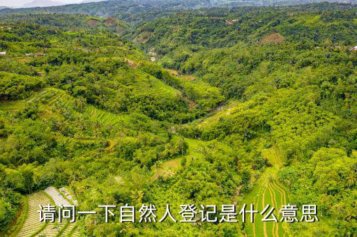 自然人登錄是什么，自然人密碼是什么