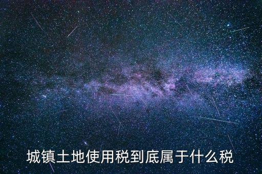 城鎮(zhèn)土地使用稅屬于什么稅種，城鎮(zhèn)土地使用稅到底屬于什么稅