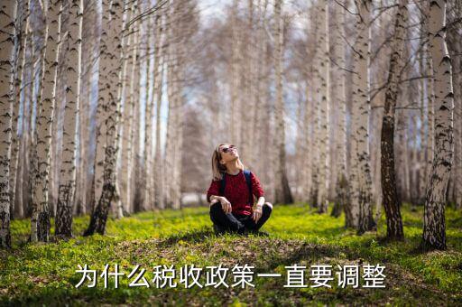 為什么進(jìn)行納稅調(diào)整，我國(guó)為什么要進(jìn)行個(gè)人所得稅調(diào)整高中政治
