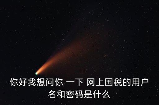 稅務(wù)登記密碼是什么，國(guó)稅第一次網(wǎng)上申報(bào)的登陸密碼是什么