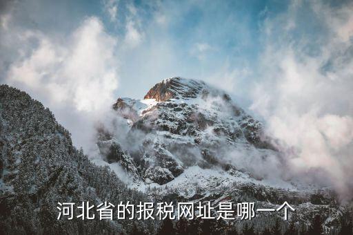 河北稅務(wù)官網(wǎng)是什么，怎么打開河北省國(guó)稅網(wǎng)站