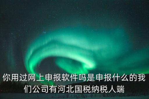 企業(yè)申報客戶端是什么，你用過網(wǎng)上申報軟件嗎是申報什么的我們公司有河北國稅納稅人端