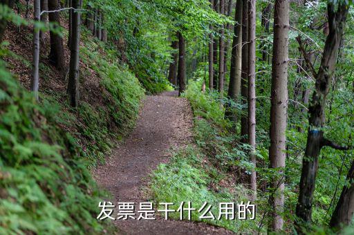 發(fā)票中心是什么，發(fā)票是干什么用的