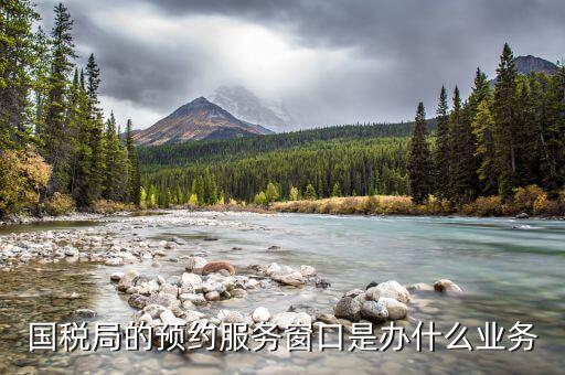 國稅預(yù)約服務(wù)什么意思，個人預(yù)約辦稅網(wǎng)上預(yù)約要去稅務(wù)局嗎