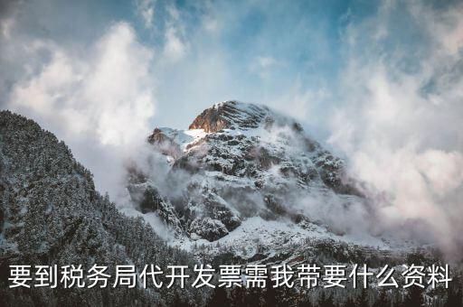 個人稅務(wù)局代開發(fā)需要什么資料，稅局代開發(fā)發(fā)票需要帶什么資料