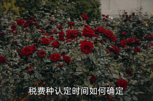 稅種認定后什么時間申報，稅務局變更稅費種認定變更后多久可以可以報稅