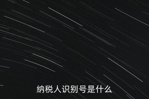山西國(guó)稅納稅人識(shí)別號(hào)是什么，納稅人識(shí)別號(hào)是什么