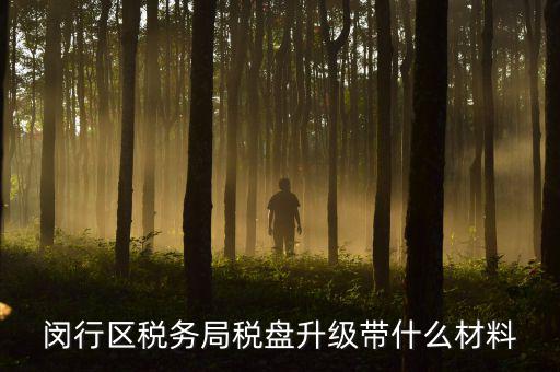 去升級(jí)稅控盤要帶什么，去國稅稅控盤升級(jí)需要帶哪些材料