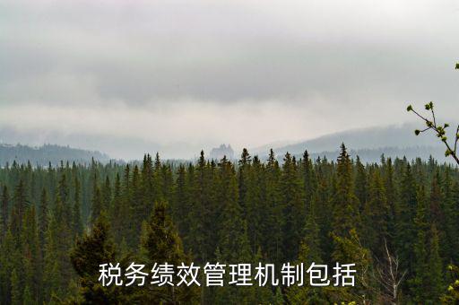 稅務績效管理機制包括