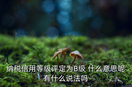 國(guó)稅b級(jí)信用是什么意思，納稅信用等級(jí)評(píng)定為B級(jí) 什么意思呢有什么說(shuō)法嗎
