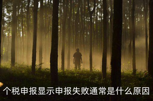 個(gè)稅申報(bào)系統(tǒng)為什么不能反饋，為什么個(gè)人所得稅申報(bào)以后反饋信息失敗