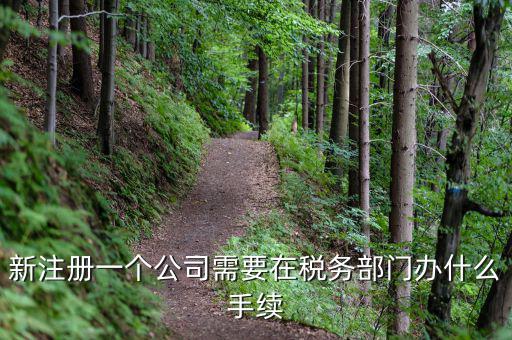 新辦企業(yè)需要到地稅辦理什么手續(xù)費，新注冊一個公司需要在稅務(wù)部門辦什么手續(xù)