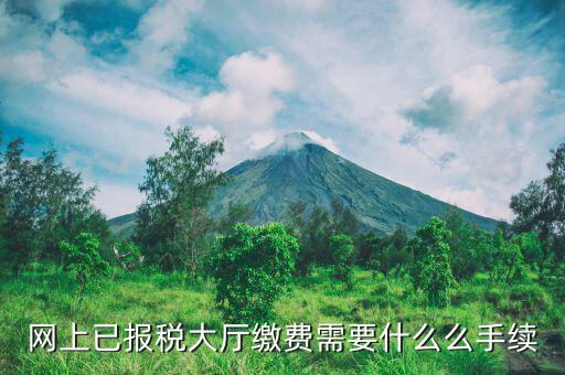 到大廳劃稅款需要什么意思，納稅人到銀行劃解稅款的征收方式劃解是什么意思