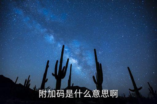 遼寧查發(fā)票有一個附加碼是什么，發(fā)票真?zhèn)尾樵兇a是什么