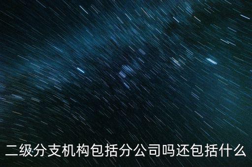什么是二級分支機構(gòu)，現(xiàn)在分公司要辦稅務(wù)登記證但是我想問一下二級分機構(gòu)指的是
