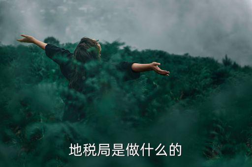 地稅所 是什么機(jī)構(gòu)，地稅局是干什么的