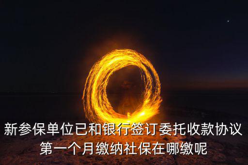 什么時候辦理授權(quán)劃繳協(xié)議，如何取得委托銀行劃轉(zhuǎn)地方稅費授權(quán)書協(xié)議書去銀行還是去地稅
