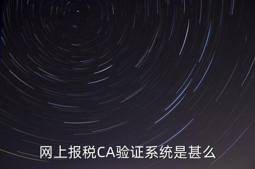 網(wǎng)上報稅CA驗證系統(tǒng)是甚么