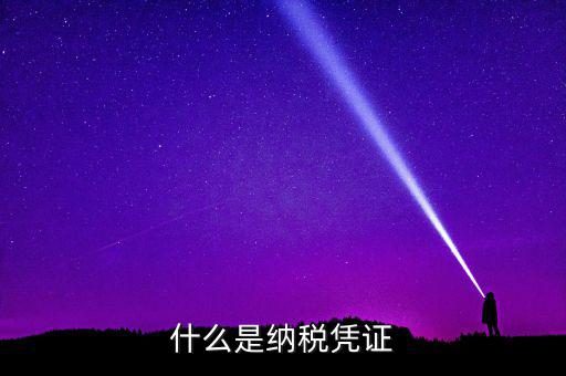 有稅款是什么憑證，納稅憑證包括哪些