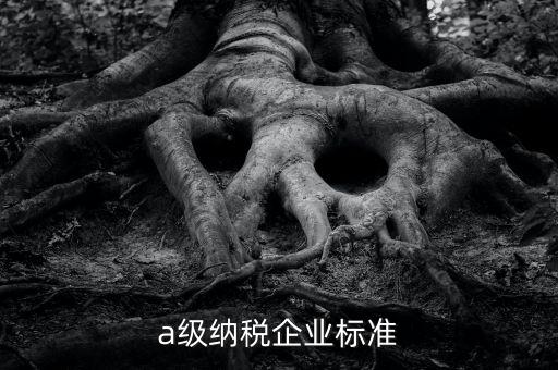 什么是企業(yè)納稅信用a級(jí)，納稅信用A級(jí)就一定能評(píng)上一類出口企業(yè)嗎