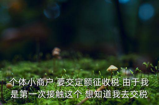 定額納稅到什么地方繳，定額征收的個(gè)體需繳納什么地稅