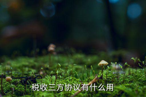 稅務(wù)第三方協(xié)議是什么，地稅局簽第三方協(xié)議 備案是什么意思