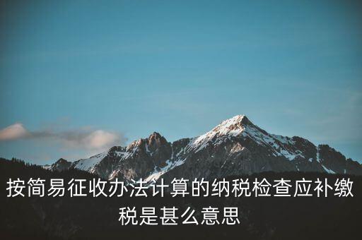 簡易征收什么意思，按簡易征收辦法計算的納稅檢查應(yīng)補繳稅是甚么意思