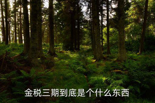 金三上線是什么意思，什么是稅務(wù)金山系統(tǒng)