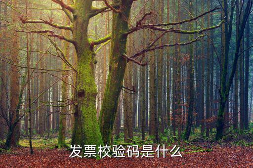 電子發(fā)票 查詢的驗(yàn)證碼是什么，發(fā)票校驗(yàn)碼是什么