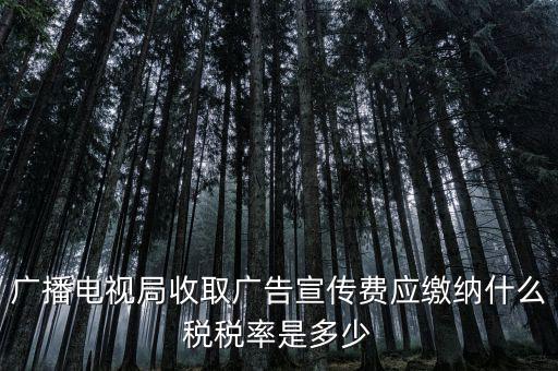 宣傳費(fèi)屬于什么稅，廣播電視局收取廣告宣傳費(fèi)應(yīng)繳納什么稅稅率是多少