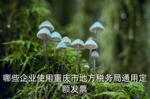 定額發(fā)票什么行業(yè)，哪些企業(yè)能買手撕定額發(fā)票小規(guī)模生產(chǎn)企業(yè)已經(jīng)開了普通發(fā)票能買