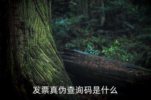 網(wǎng)絡(luò)發(fā)票查詢號(hào)是什么，發(fā)票真?zhèn)尾樵兇a是什么