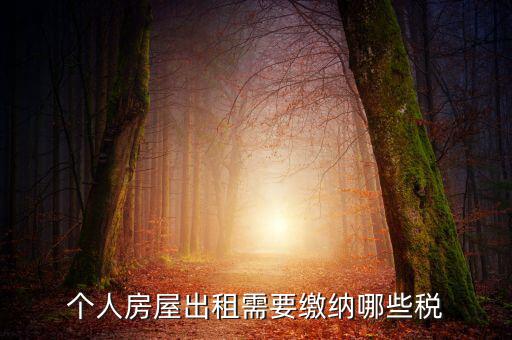 個(gè)人租房交什么稅，個(gè)人出租房屋要交什么稅費(fèi)