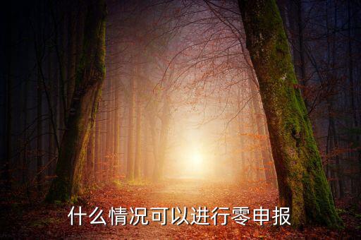什么情況下可以一鍵零申報，什么情況可以進行零申報