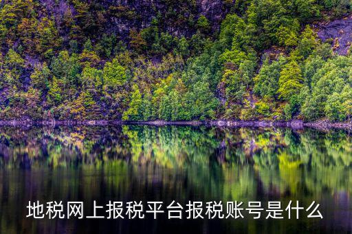 地稅網(wǎng)上報(bào)稅平臺(tái)報(bào)稅賬號是什么