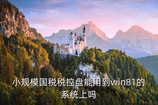 稅盤安裝支持什么系統(tǒng)下載，稅控發(fā)票開票軟件v2130170612能在win10上安裝嗎