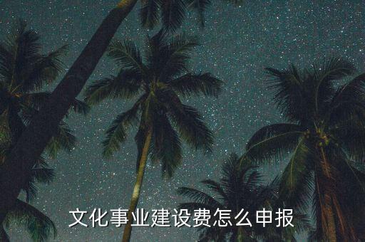 申報(bào)系統(tǒng)文化建設(shè)申報(bào)是什么時(shí)候，文化事業(yè)建設(shè)稅怎么申報(bào)