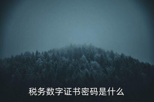 輸入稅務數(shù)字證書密碼是什么，稅務數(shù)字證書密碼是什么