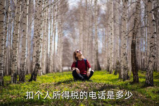 成都查個稅打什么電話，如何查詢個人所得稅明細