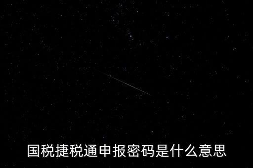 稅務(wù)軟件申報(bào)密碼是什么意思，納稅申報(bào)密碼是什么