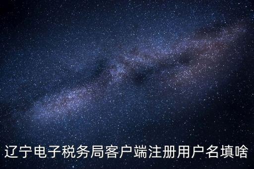 遼寧省網(wǎng)上稅務(wù)局登錄需要什么，遼寧電子稅務(wù)局客戶端注冊(cè)用戶名填啥