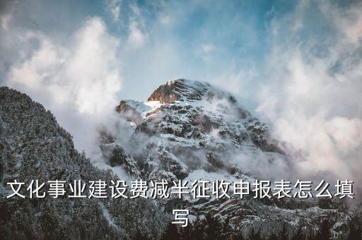 什么叫文化事業(yè)建設(shè)費(fèi)申報(bào)表，文化事業(yè)建設(shè)費(fèi)申報(bào)表怎么填