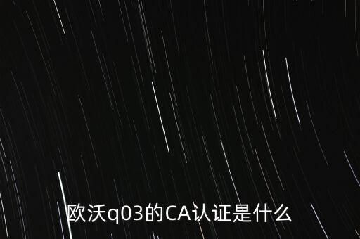 ca認(rèn)證密碼是什么意思，歐沃q03的CA認(rèn)證是什么