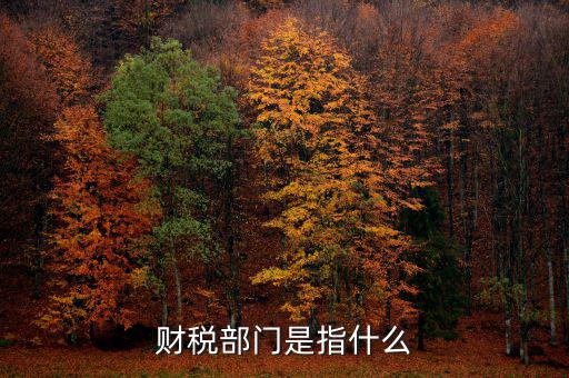 財稅征收保障網(wǎng)是什么，財稅部門是指什么