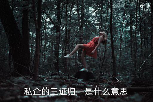 公司的三證合一是什么，什么是三證合一