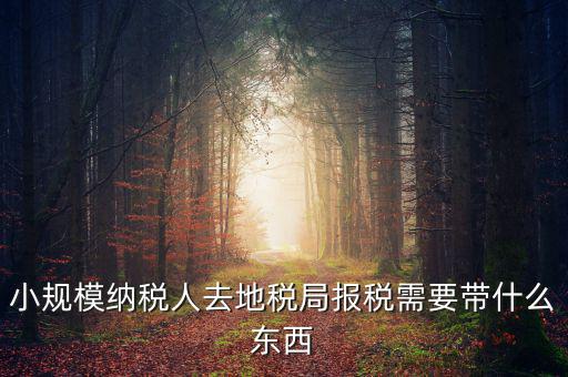 上門申報(bào)附加稅要帶什么資料，去地稅局繳納營業(yè)稅金及附加需要帶什么資料