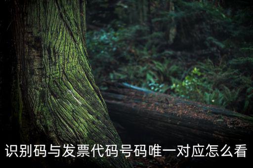 發(fā)票查詢識別碼是什么，識別碼與發(fā)票代碼號碼唯一對應怎么看