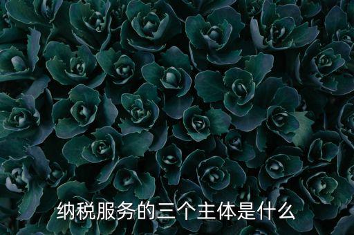 納稅服務(wù) 是什么，納稅服務(wù)的三個(gè)主體是什么