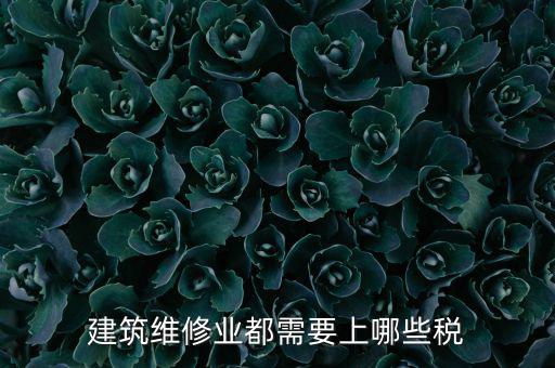 房屋修理交什么稅，維修費交什么稅